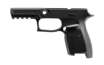 Sig Grip Module Assy 250 320 45 ACP Compact Small Black
