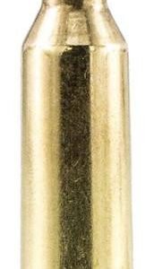Sig Hunting 22-250 Remington 40gr, Tipped Hollow Point 20/Box
