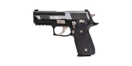 Sig P229 Equinox Elite 9mm, 3.9"Barrel, XRAY3, G10 Grips, DLC, 15rd