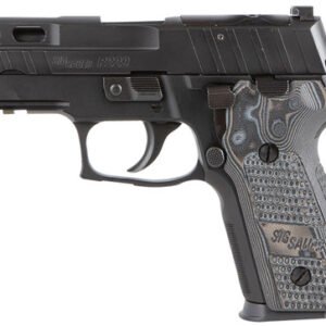 Sig P229 Pro 9mm, 3.9" Barrel, XRAY3 NS, Hogue Black/Gray Piranha G-Mascus Grips, 15rd