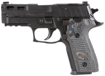 Sig P229 Pro 9mm, 3.9" Barrel, XRAY3 NS, Hogue Black/Gray Piranha G-Mascus Grips, 15rd