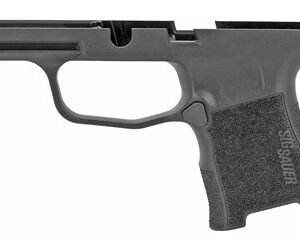 Sig P365 Grip Module, Magazine Release, Stop, Spring
