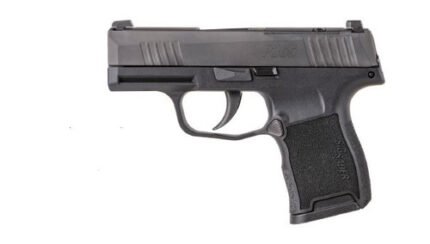 Sig Sauer LE P365 380 Auto, 3.1'' Barrel, 10rd - Must Be An Approved Sig Sauer Law Enforcement Dealer