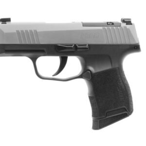 Sig Sauer P365 Striker Fired Sub-Compact, 9MM, 3.1" Barrel, SS Slide, Black Frame, XRAY3 Day/Night Sights, 2 Magazines, 10 Rounds