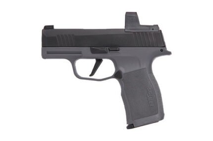 Sig Sauer P365X 9mm, 3.1" Barrel, Night Sights & Romeo Zero, Black & Grey Frames, 12rd
