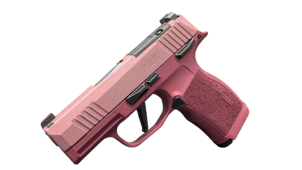 Sig Sauer P365X 9mm, 3.1" Barrel, TWO TONE BLUSH CERAKOTE, Optic Ready, 12rd