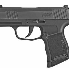 *D*Sig P365, 9mm, 3.1" Barrel, Polymer Frame, Black, XRay3 Day/Night Sights, 1 Magazine, Coupon In Box For 1 Magazine,