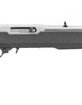 Ruger 10/22 22 LR, 18.5" Barrel, Black Magpul MOE X-22 Stock, Silver Rec, 10rd