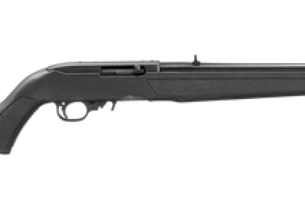 Ruger 10/22 22 LR, 18.5" Cold Hammer Forged Barrel, Satin Black, Adj Rear, Gold Front, 10rd Rotary Magazine