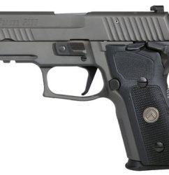 Sig P229 Compact Legion, 9mm, 3.9" Barrel, 10rd, X-Ray3 Sights, Gray PVD