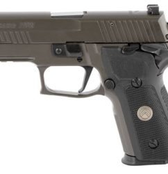 Sig P229 Legion 9mm, SAO, 3.9" Barrel, X-Ray 3, Legion Gray, 10rd