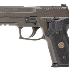 Sig P229 Legion OR 9mm, 3.9" Barrel, Black G10 Grips, XRAY3, Decocker, Legion Gray, 10rd