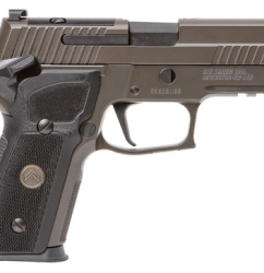 Sig P229, Legion, SAO 9mm, 3.9" Barrel, Legion Gray, Black G10 Grips, XRAY3 Day/Night Sights, Optic Ready, Manual Thumb Safety, 15rd