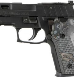 Sig P229 Pro 9mm, 3.9" Barrel, Cerakote Finish, Black, Hogue Black/Gray Piranha G-Mascus Grips, XRAY3 Day/Night Sights, Decocker, Stylized Optic Ready PRO-CUT Slide, 10rd